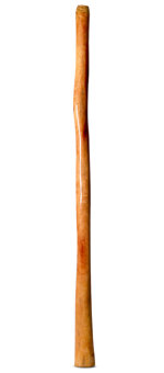 Epoxy Resin Finish Didgeridoo (TM391)